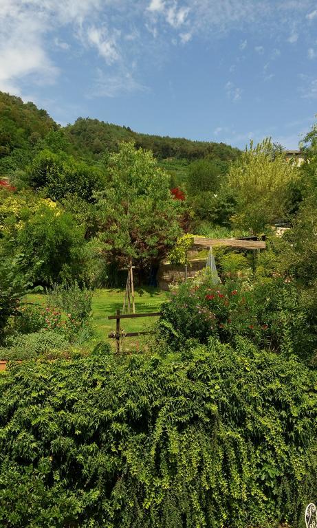 B&B Casa Brunelli Trento Esterno foto